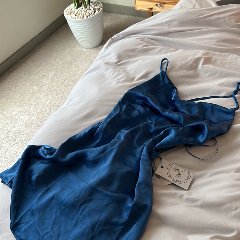 NWT Francesca’s Kenzie Slip Mini Dress - Picture 6 of 8